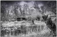 Conte de fées dans le Hoeckschewaard