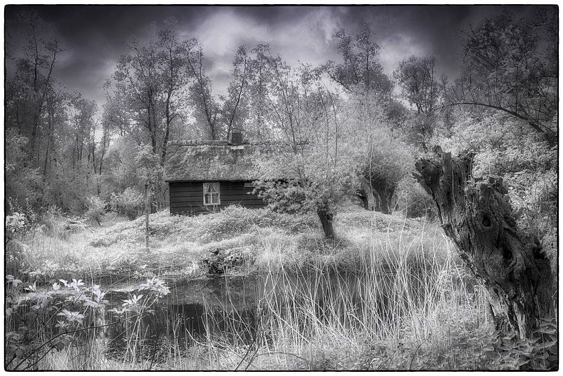 Märchen im Hoeckschewaard von Jan Brand