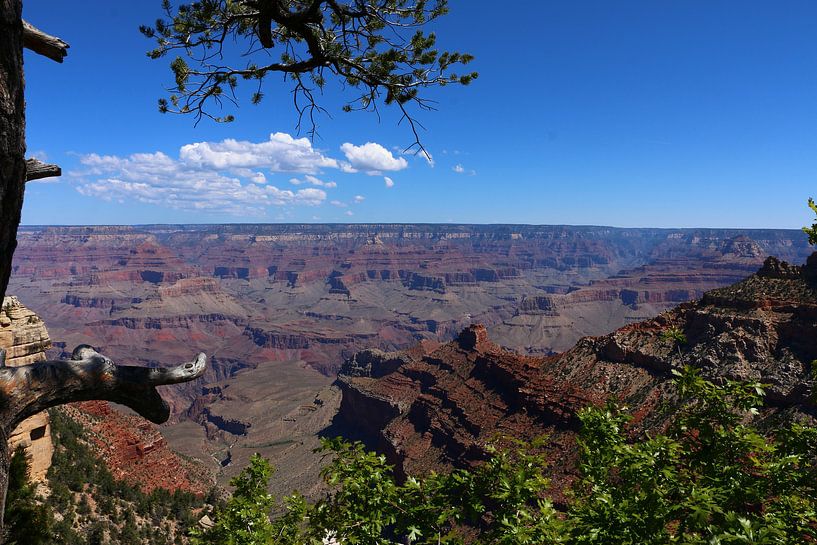 Adembenemend mooi van Christiane Schulze