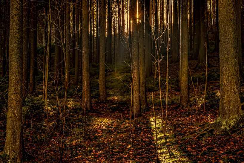 Nature et paysage dans l'Erzgebirge par Johnny Flash