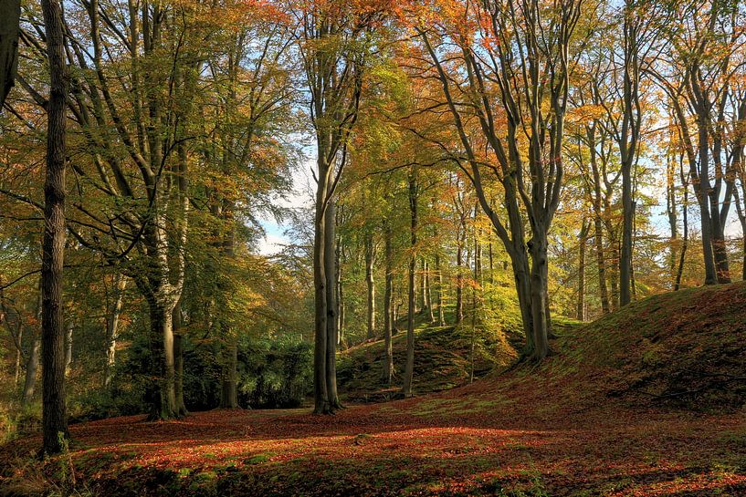 Forêt d'automne Elswout par FotoBob