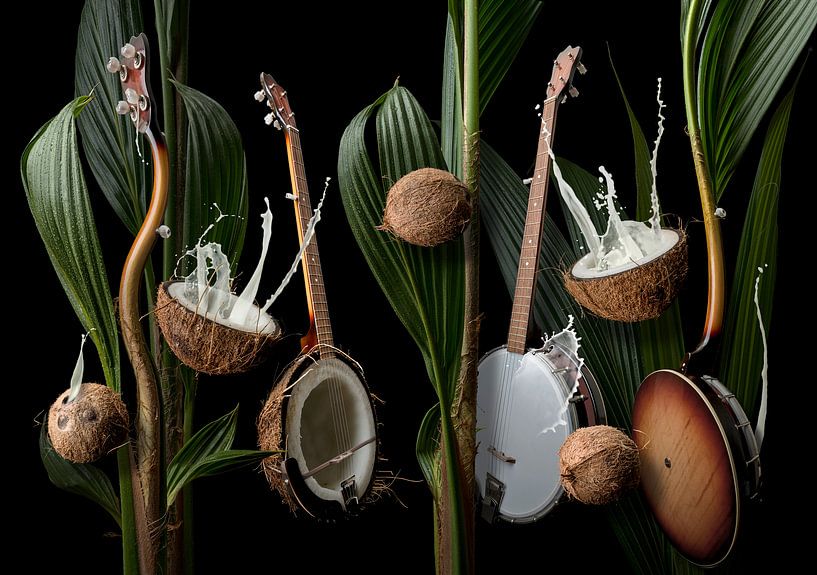 Coconut Banjo by Olaf Bruhn