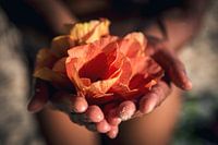 Blumen in der Hand - Französisch Polynesien Reisefotografie Fotodruck