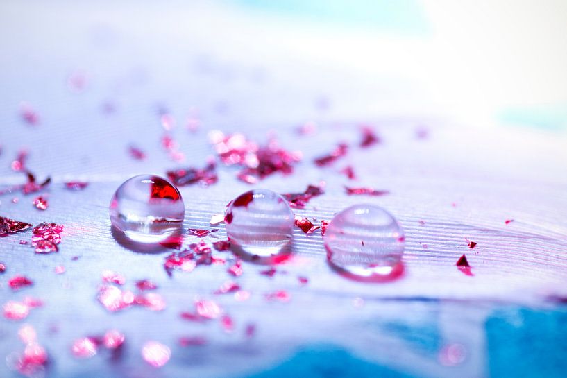 Light as a feather. by Esther Hendrikse