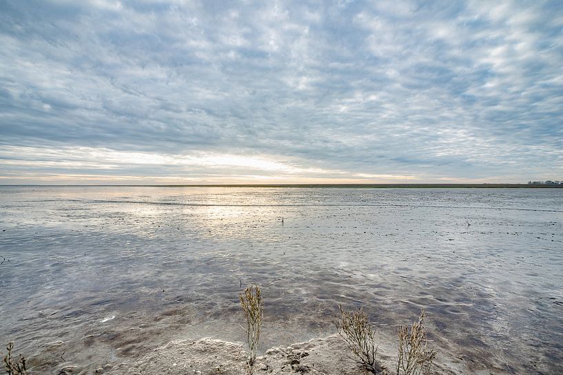 Ruhe und Frieden an der Wattenmeerküste von Roland's Foto's