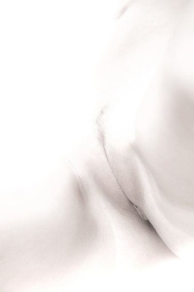 Künstlerischer Akt einer Vagina und eines Bauches in High Key Farbe von Art By Dominic