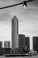 vue sur le Zalmhaven