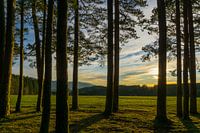 Deutschland, Sonnenuntergang inmitten der Naturlandschaft Schwarzwald