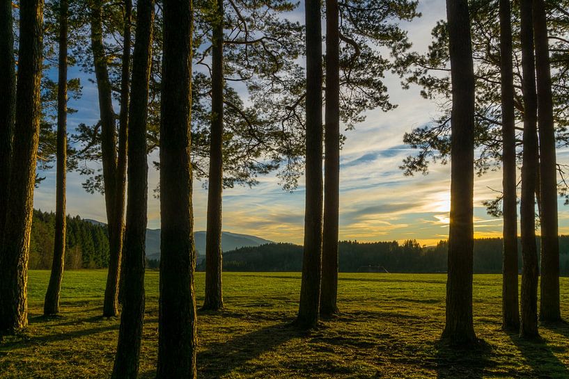 Allemagne, Coucher de soleil au milieu de la forêt noire, paysage naturel par adventure-photos