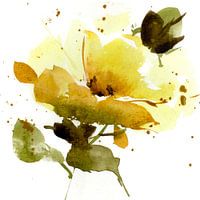 Yellow rose