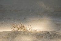 Zandkorrels en zonnestralen