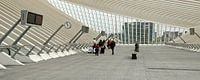 Station GUILLEMINS Luik