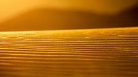 Sand dune in the evening sun