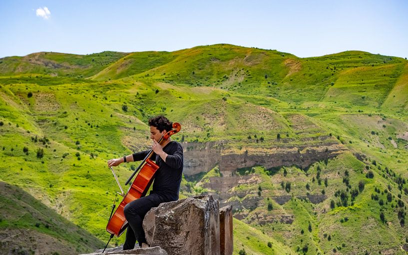 Joueur de violoncelle par Stijn Cleynhens