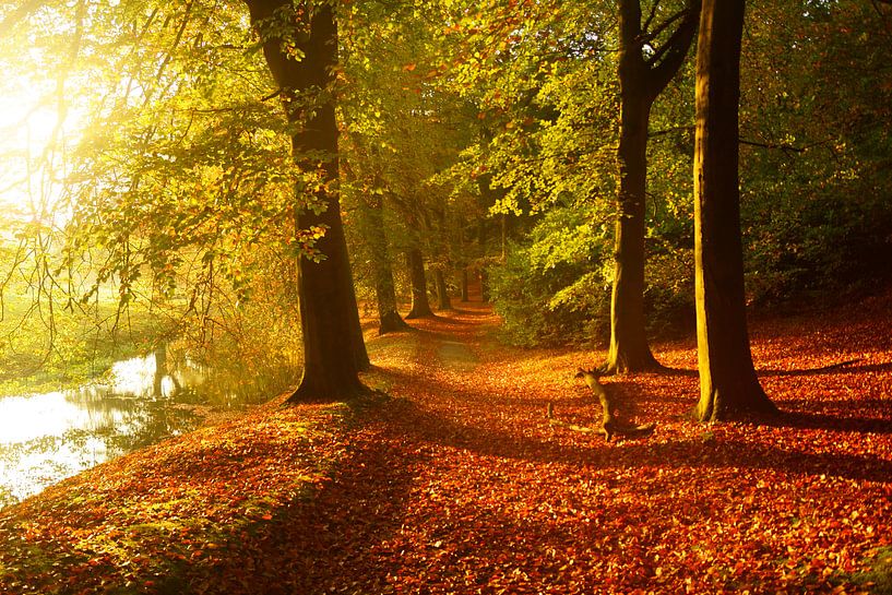 Landgoed Elswout by Michel van Kooten