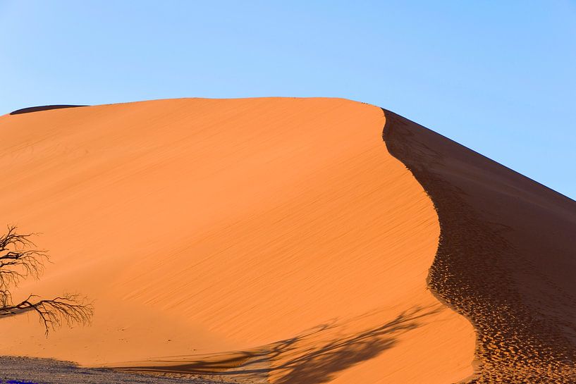 Namibia, Wüste, Afrika, Orange, Farbe von Liesbeth Govers voor Santmedia.nl