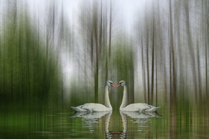 Schwanensee - Liebe im Frühling von Christine Nöhmeier