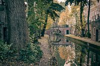 Herfstige Nieuwegracht in Utrecht