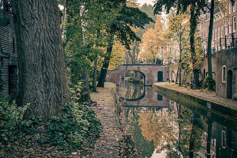 Herfstige Nieuwegracht in Utrecht von Mike Peek