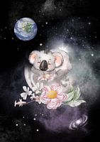 De kleine koala droomt