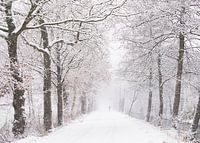 Die Narnia-Wanderung: verloren in Schnee und Zeit