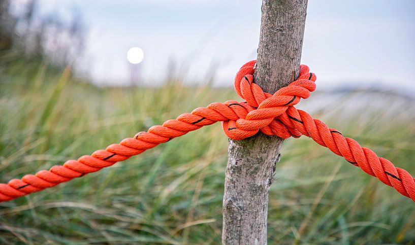 Texel par Photographie de Justin Sinner (Photographe à Texel)