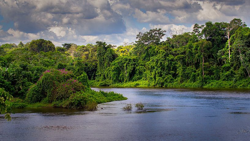 Paloemeu (soms ook gespeld als Palumeu) is een inheems dorp . van René Holtslag