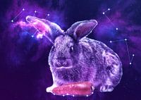 Galaxy Rabbit with Carrot