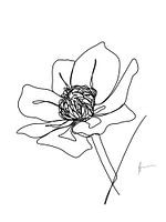 Eine Strichzeichnung Buttercup