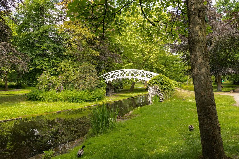 City Park Lier (Belgium) in spring by SchumacherFotografie