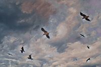 Jonathan Livington Möwe