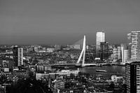 Skyline Rotterdam met Erasmusbrug