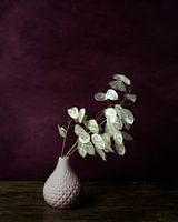 Judas-Medaille Stilleben