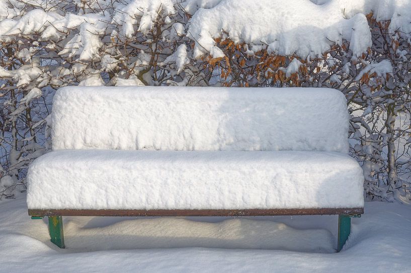 Winter im Park von Peter Eckert