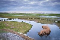 Die Überschwemmungsgebiete des Lauwersmeers bei Suyderoogh