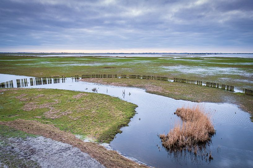 The floodplains of the Lauwersmeer near Suyderoogh by Evert Jan Luchies