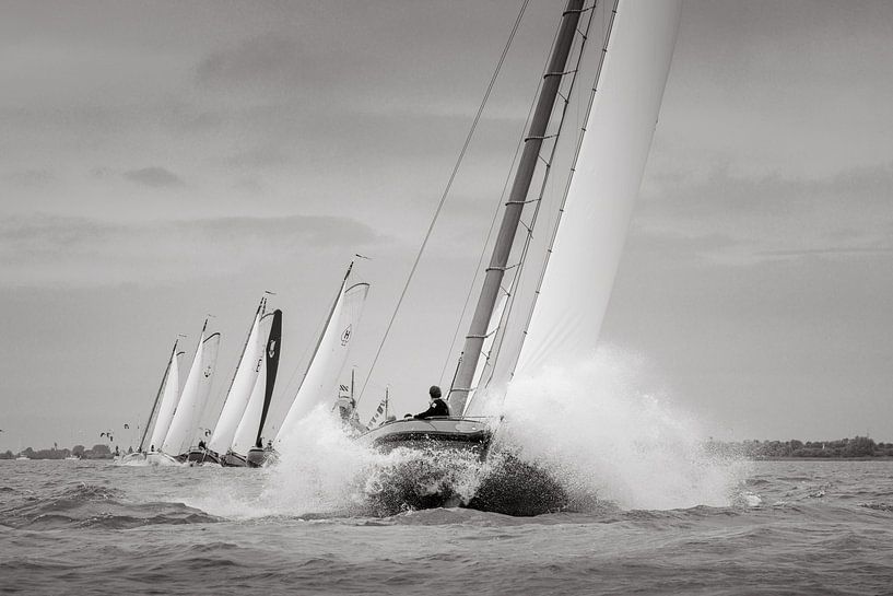 Leader by ThomasVaer | Tom Coehoorn