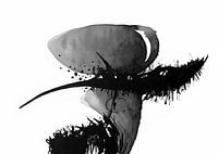 Abstrait à l'encre noire et blanche