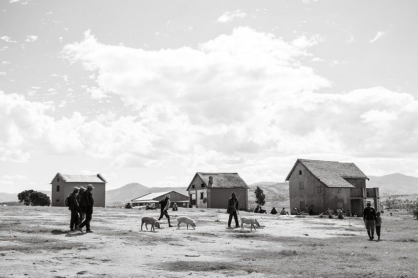 Madagascar leven von Froukje Wilming