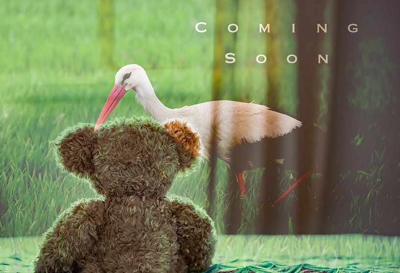 In Erwartung von &quot;Coming Soon&quot; von Truckpowerr