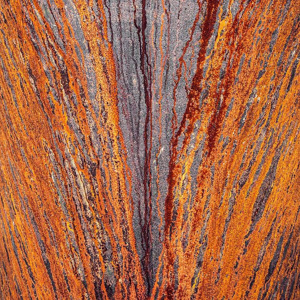 Ascension by Insolitus Fotografie