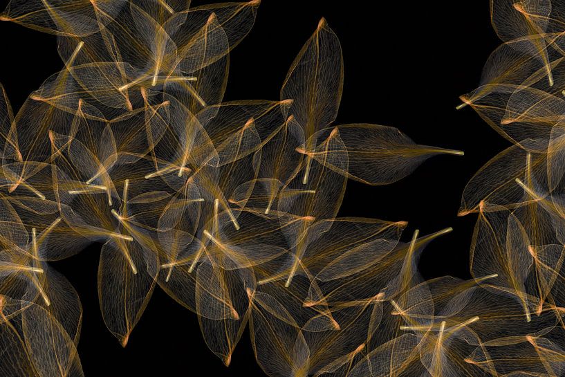 Blätter spenden Licht II von Klaartje Majoor