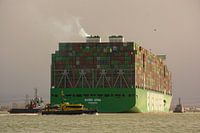 Containerschiff Ever Aria auf der Maasvlakte