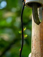 tout est question d'équilibre