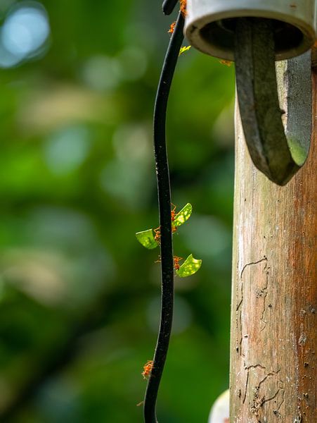 tout est question d'équilibre par Elvira Werkman