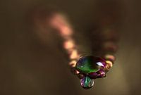 Wassertropfen auf Crocusmia Blatt Blume Kunst Makrofotografie