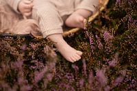 Niedliche Babyfüße