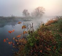 Herbstmorgen an einem nebligen Fluss