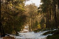 Schnee auf der Posbank