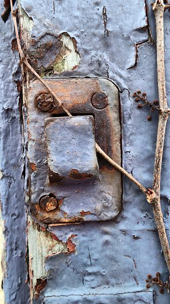 lila VI von Ilona Picha-Höberth